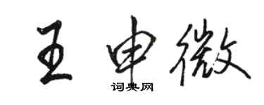 駱恆光王申微行書個性簽名怎么寫