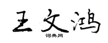 曾慶福王文鴻行書個性簽名怎么寫