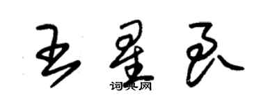 朱錫榮王星良草書個性簽名怎么寫