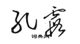 駱恆光孔霞草書個性簽名怎么寫