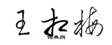 駱恆光王相梅草書個性簽名怎么寫