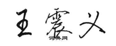 駱恆光王震義行書個性簽名怎么寫