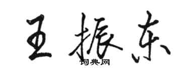 駱恆光王振東行書個性簽名怎么寫