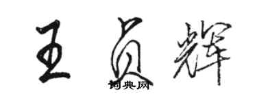 駱恆光王貞輝行書個性簽名怎么寫