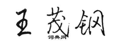 駱恆光王茂鋼行書個性簽名怎么寫