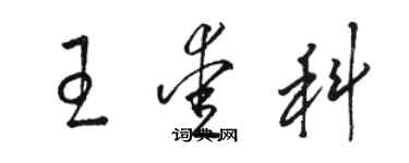 駱恆光王愛科草書個性簽名怎么寫