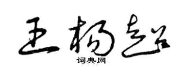 曾慶福王楊超草書個性簽名怎么寫