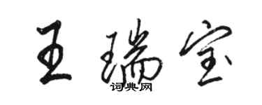 駱恆光王瑞寶行書個性簽名怎么寫