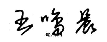 朱錫榮王鳴晨草書個性簽名怎么寫