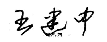 朱錫榮王建中草書個性簽名怎么寫