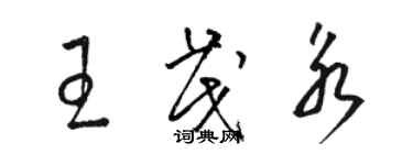 駱恆光王茂永草書個性簽名怎么寫