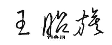 駱恆光王昭旗草書個性簽名怎么寫