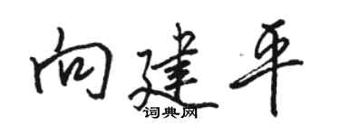 駱恆光向建平行書個性簽名怎么寫