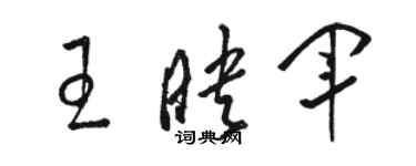 駱恆光王映軍草書個性簽名怎么寫