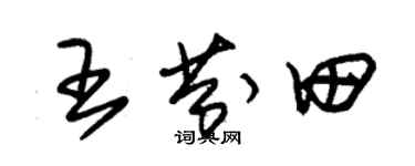 朱錫榮王芬田草書個性簽名怎么寫