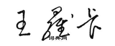 駱恆光王羅卡草書個性簽名怎么寫