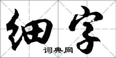 胡問遂細字行書怎么寫