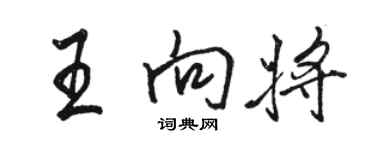 駱恆光王向將行書個性簽名怎么寫