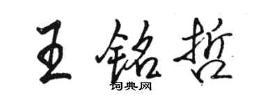 駱恆光王銘哲行書個性簽名怎么寫