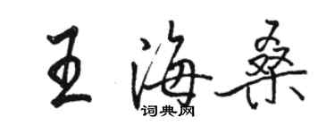 駱恆光王海桑行書個性簽名怎么寫