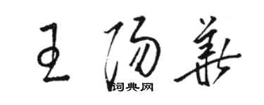 駱恆光王陽華草書個性簽名怎么寫