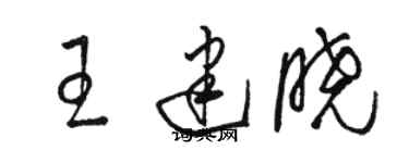 駱恆光王建曉草書個性簽名怎么寫