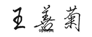 駱恆光王善菊行書個性簽名怎么寫