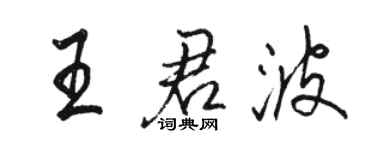 駱恆光王君波行書個性簽名怎么寫
