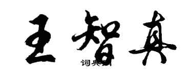 胡問遂王智真行書個性簽名怎么寫