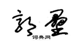 朱錫榮郭壘草書個性簽名怎么寫