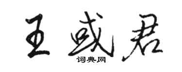 駱恆光王或君行書個性簽名怎么寫