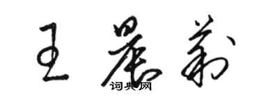 駱恆光王晨莉草書個性簽名怎么寫