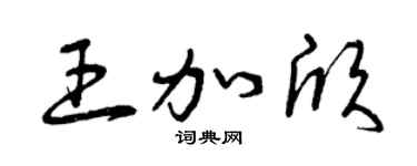 曾慶福王加欣草書個性簽名怎么寫