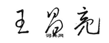 駱恆光王昌亮草書個性簽名怎么寫