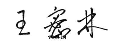 駱恆光王密林草書個性簽名怎么寫