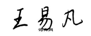 王正良王易凡行書個性簽名怎么寫