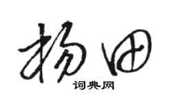 駱恆光楊田草書個性簽名怎么寫