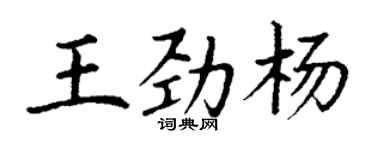 丁謙王勁楊楷書個性簽名怎么寫