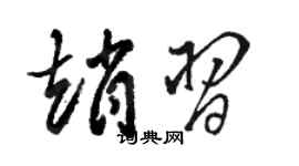 駱恆光趙習草書個性簽名怎么寫