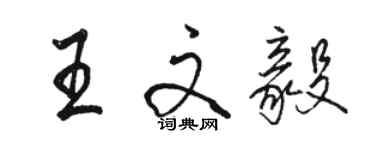 駱恆光王文毅行書個性簽名怎么寫