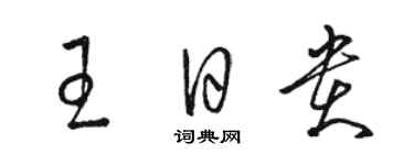 駱恆光王日貴草書個性簽名怎么寫