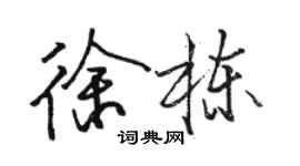 駱恆光徐棟行書個性簽名怎么寫