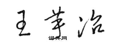 駱恆光王芋冶草書個性簽名怎么寫