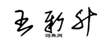 朱錫榮王新升草書個性簽名怎么寫