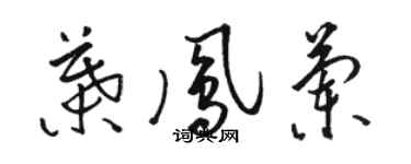駱恆光葉鳳蘭草書個性簽名怎么寫