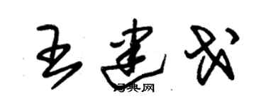 朱錫榮王建戈草書個性簽名怎么寫