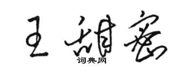 駱恆光王甜密草書個性簽名怎么寫