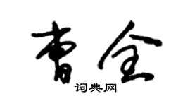 朱錫榮曹全草書個性簽名怎么寫
