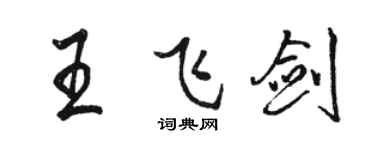 駱恆光王飛劍行書個性簽名怎么寫