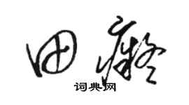 駱恆光田痴草書個性簽名怎么寫